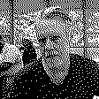 Portret van Frank
