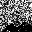 Portret van Vit